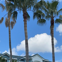 Spirit420-No Murcié(Lago)