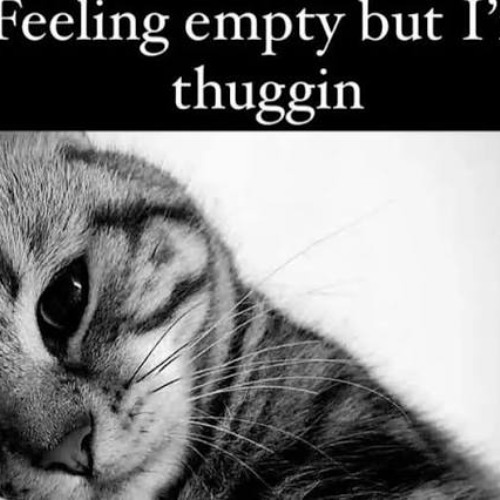 going dumb (rabi + keevo)