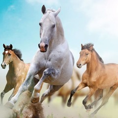 Cowgirl Trailride (Hijack Remix) - S Dott, Tonio Armani