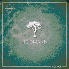 Heidmann - Past and Present(Radio Edit)