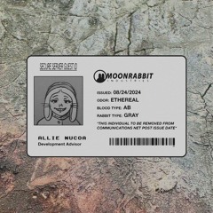 RABBIT MIX: ALLIE – FALL 2024