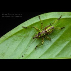 hk_calm-steady_tracks_402