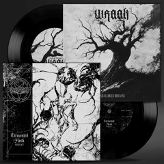 tormented flesh MMXXV