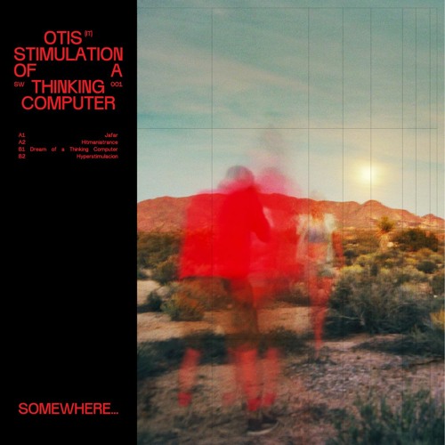 Otis - Stimulation of A Thinking Computer (SW001)