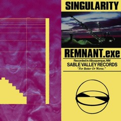 REMNANT.exe - Singularity (remix)