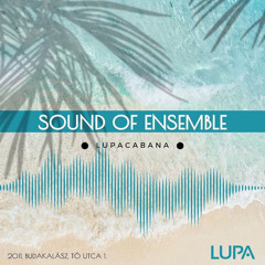 Sound of Ensemble @ Lupacabana (24-08-11)
