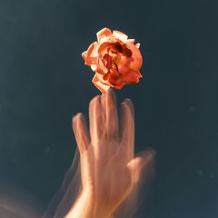 It's Time to Let Go