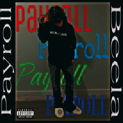 payroll p. ksubi