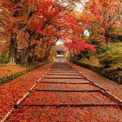 Autumn in the winter