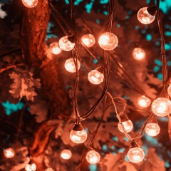 In The Light