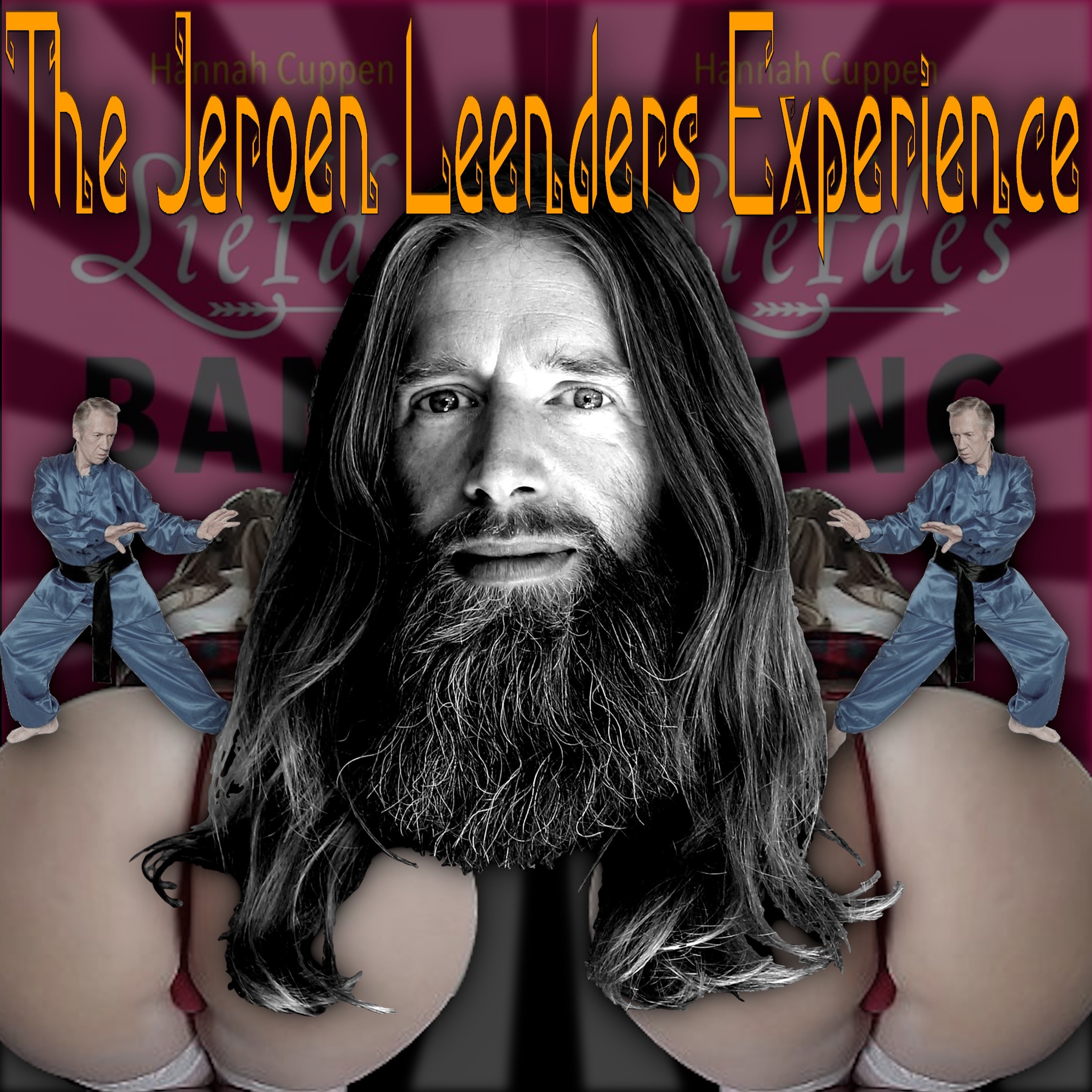 Jeroen Leenders Experience