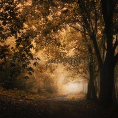 'The Road' (Contreras-Dumée)