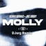 Cedric Gervais & Joel Corry - MOLLY (DJorg Remix)