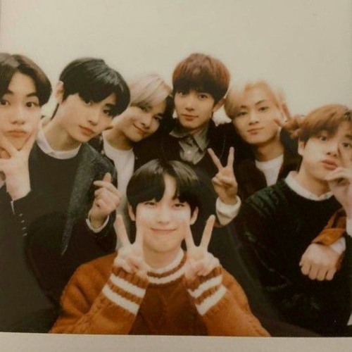 polaroid love_ENHYPEN