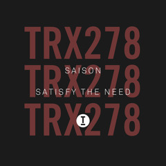 Satisfy The Need (Extended Mix)