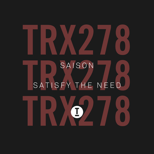Satisfy The Need (Extended Mix)