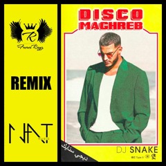 DJ SNAKE - Disco Maghreb (N.A.T & Les Frères Rayz Remix)