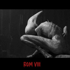ROM VIII (8)