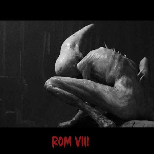 ROM VIII (8)