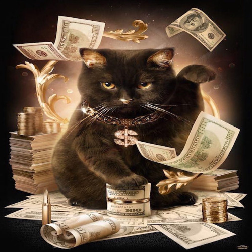 Compact 2 (Opacity Ostnxck)