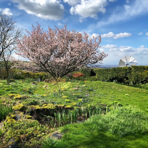 Mark Slee - Printemps: Blossom [April 2022]