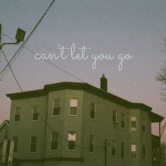 can't let you go