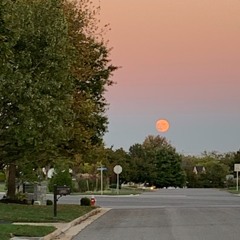 Paul, it's different when you're in love.