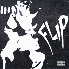 flip (sxlvr)