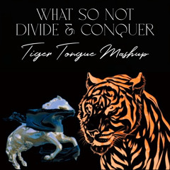 What So Not - Divide & Conquer (Tiger Tongue Mashup)