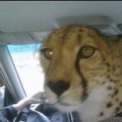 UNEXPECTED EXISTENCE