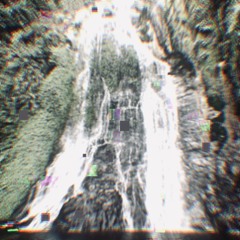 if u leave the forest, u will never find back