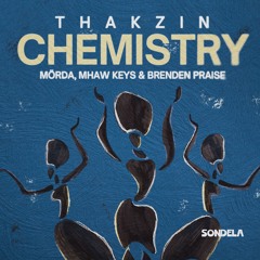 Stir It Up - Thakzin