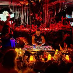Sloth Disco at CAMP 2025