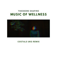 Theodore Shapiro - Music Of Wellness (Costals UKG Remix) [Extended DJ Version]