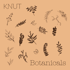 Botanicals (feat. Arild Andersen, Torstein Lofthus, Andreas Ulvo & Knut Bjørnar Asphol)