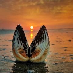 مناهج بحث فرقة تانية .mp3