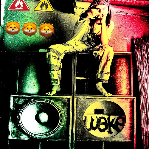 1.Unity dub