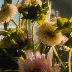 See You Again (Tyler, The Creator & Kali Uchis Cover) (Dreamy Version)