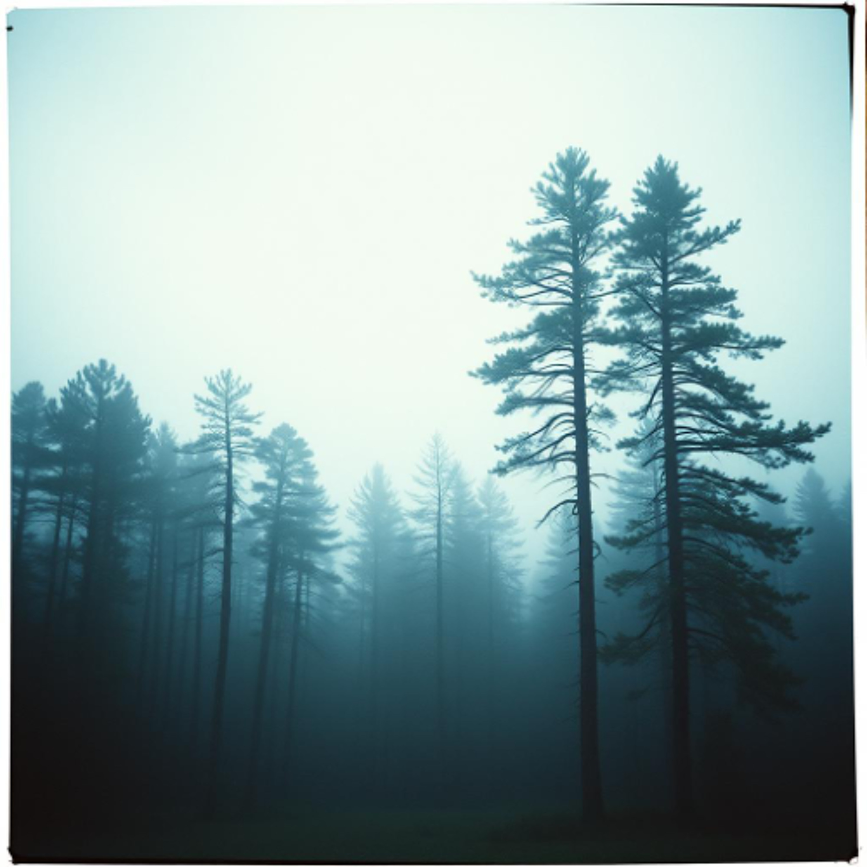 Movement III — Scherzo “Dance of the Storm”