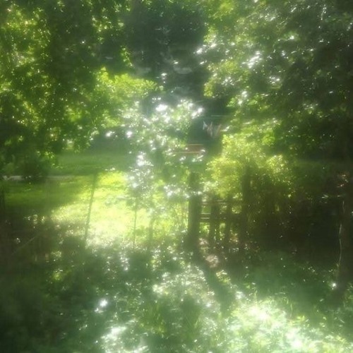 chains on my trees (prod danikyiko)