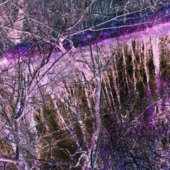 NEEDLEGUTS - LYNCHED (PROD. NEEDLEGUTS)