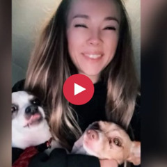 Original logan guminski dog video twitter logan guminski Redit