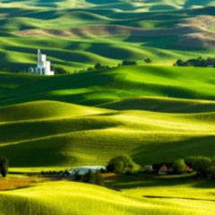 Sonata for Viola and Piano, III. Rondo