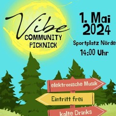 Alfi @ Vibe Community Picknick 2024