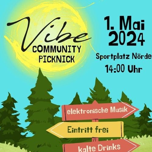 Alfi @ Vibe Community Picknick 2024