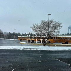 WINTER LIGHTS