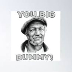 You Big Dummy
