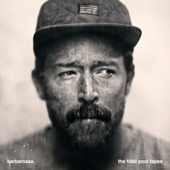 Home - tidal pool version