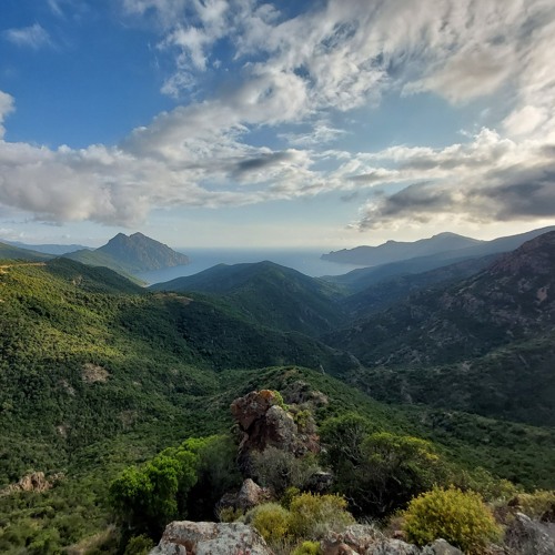 vista corsica