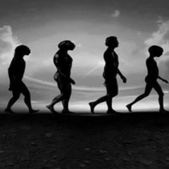 Monkeys